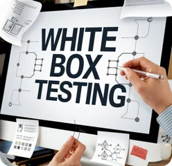 Secure Code Review (White Box)